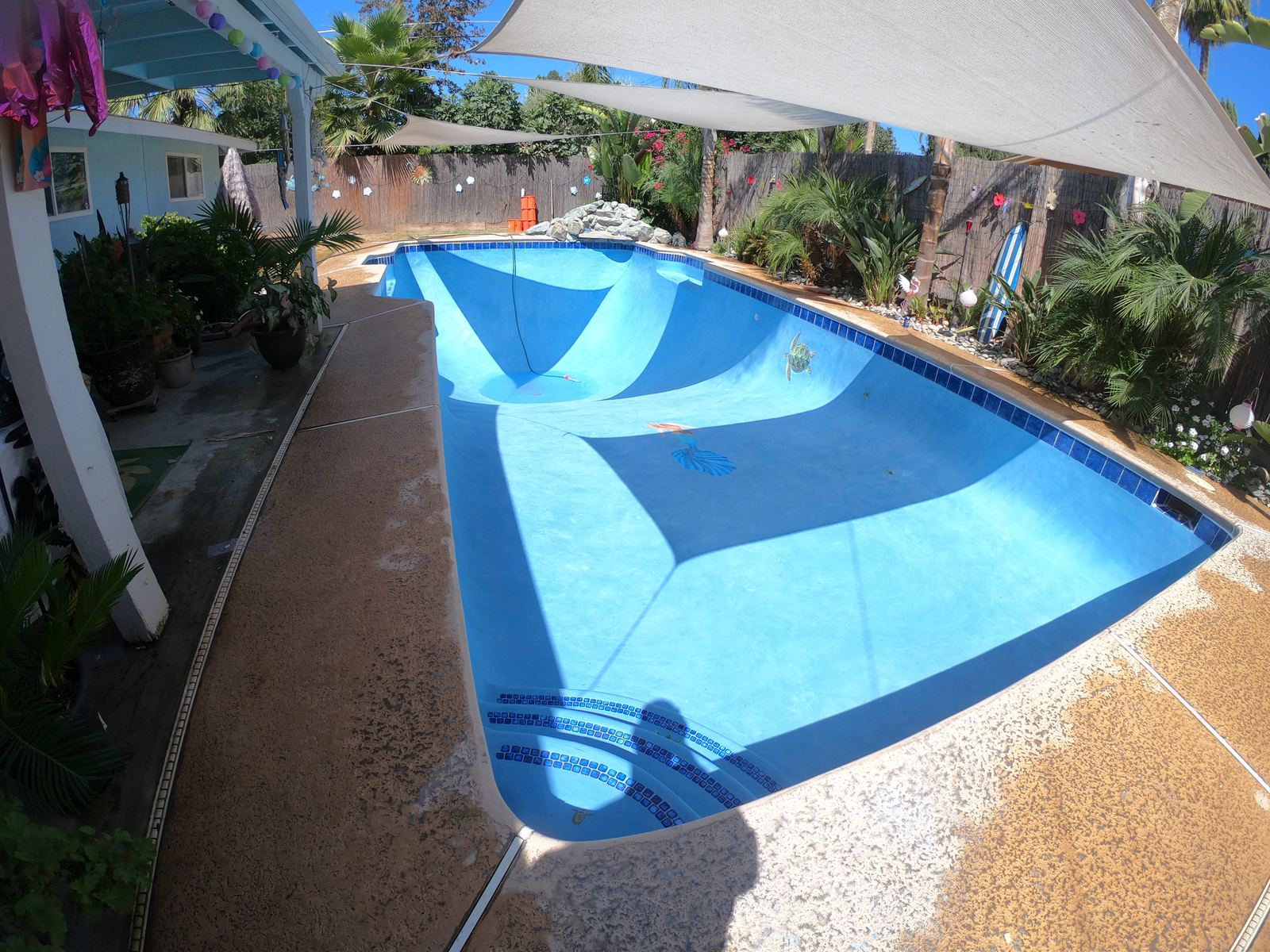 After: resurfaced pool with turtle mosaic tile