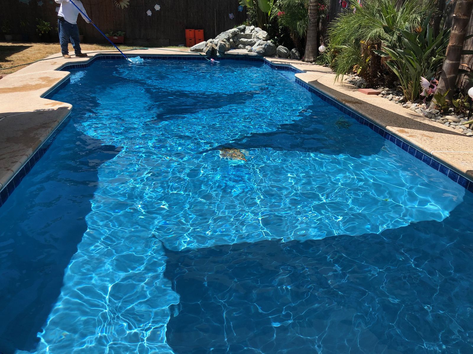 Technician skimming a pool during service